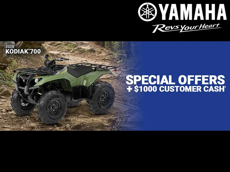 Current Promotion Display Image