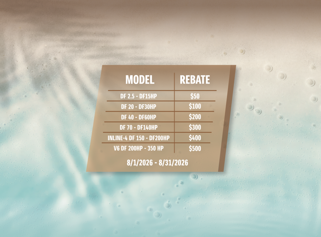 Current Promotion Display Image